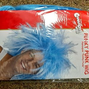 Funky Punk Wig